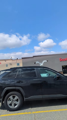 Heritage Village photo 3