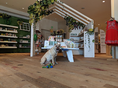 The Promenade at Sagemore photo 2