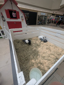 Galeries St-Hyacinthe photo 2