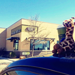 Commons at North Park photo 1