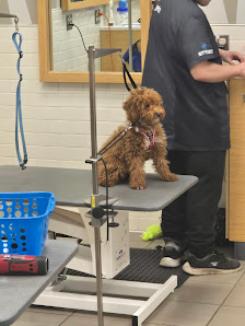 Towne Shopping Plaza photo 2