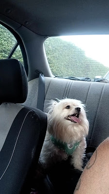 Hilltop Mall photo 3