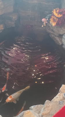 Kanata Town Centre photo 3