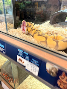 Homestead Village photo 2