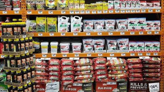 The Marketplace at Towne Centre photo 5