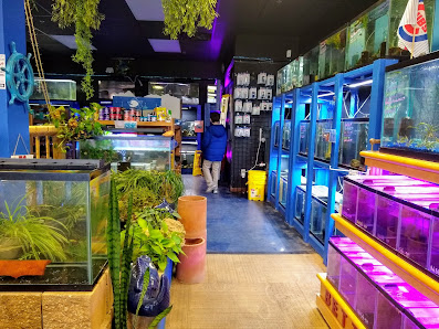 Clock Tower Plaza photo 2