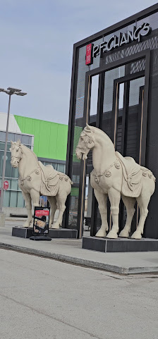 Plaza at Polo Park photo 3