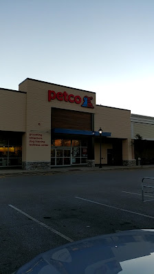 Portsmouth Green photo 3