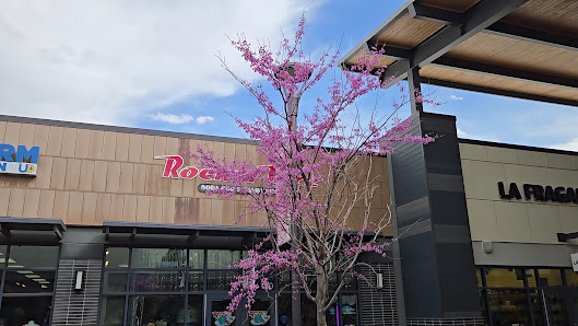 Denver Premium Outlets photo 3