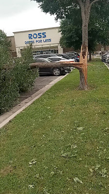 Red Oak Village photo 3