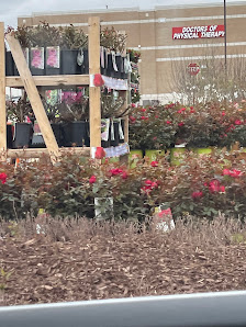 Shops of Schaumburg photo 2