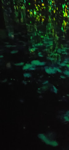 The Shops at Crystals photo 2