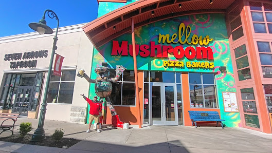 Branson Landing photo 1