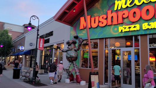 Branson Landing photo 3