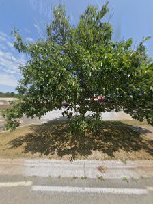 Greenwood Mal photo 4