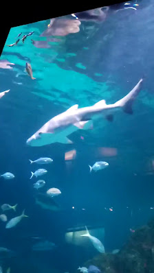 Anchorage Square Plaza photo 3