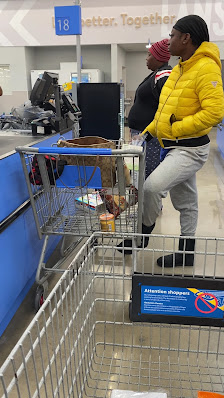 Lansing Square photo 3