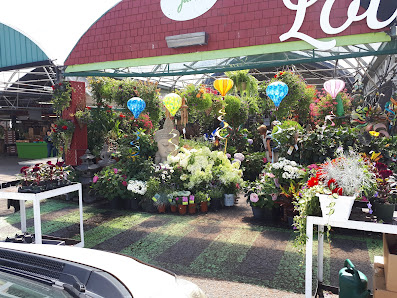 Quartier Laval photo 2