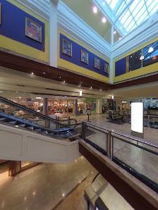 Phipps Plaza photo 6