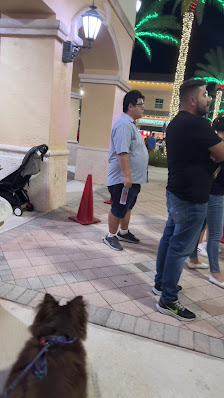 Johns Creek Town Center photo 3