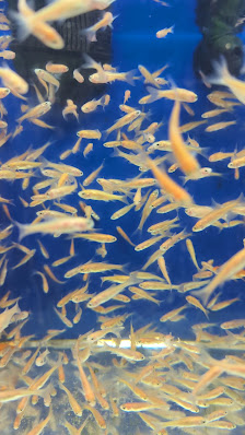 Epps Bridge Centre photo 3