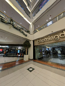 900 North Michigan Shops photo 6