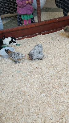 Promenades de Sorel photo 3