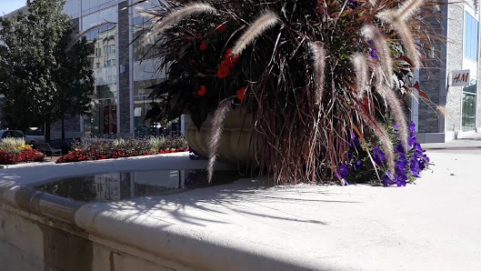 The Streets at SouthGlenn photo 3