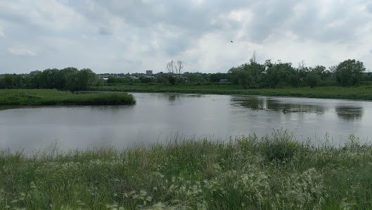 Brandon Tourism (Riverbank Discovery Centre) photo 3