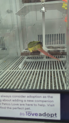 University Town Centre photo 3