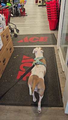 Fox Run Square photo 3