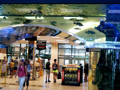 The Outlets at Legends photo 4