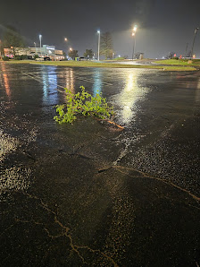 Shawnee Mall photo 2