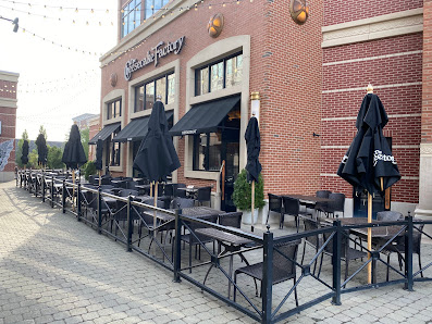 Blue Back Square photo 6