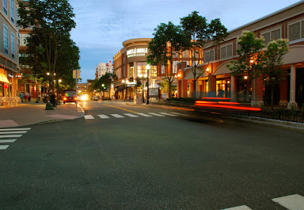 Blue Back Square photo 7