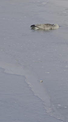 The Village at Waugh Chapel photo 3