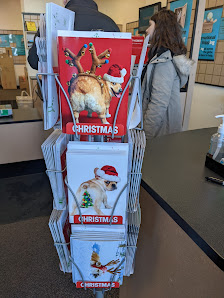 Western Center photo 1