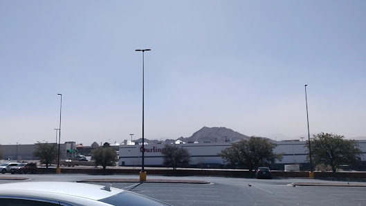 Sunland Towne Centre photo 3