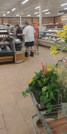 Nashwaaksis Shopping Centre • Plaza REIT Fredericton photo 2