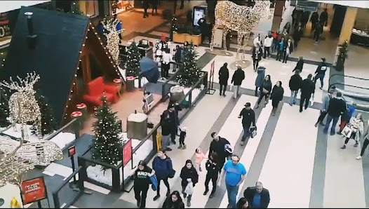 CF Polo Park photo 3