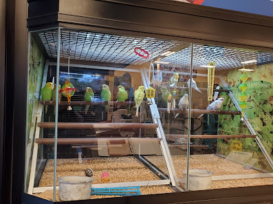 Rosewood Crossing photo 2