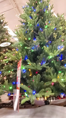 Rosewood Crossing photo 3