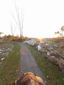 Muscatine Mall photo 5