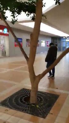 Southland Mall photo 3