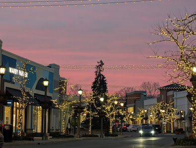 The Village Of Rochester Hills photo 2