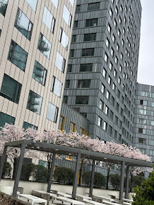 City Point BKLYN photo 2