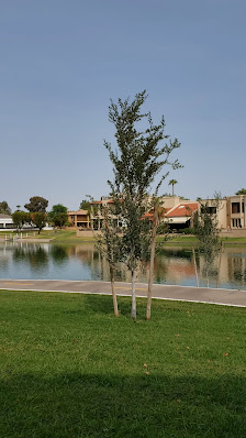 Mercado Del Lago Mall photo 3