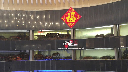 Mississauga Chinese Centre photo 5