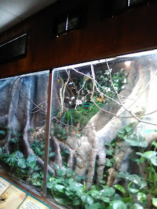 Porter Commons photo 2