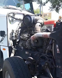 Mcdowell Plaza photo 3